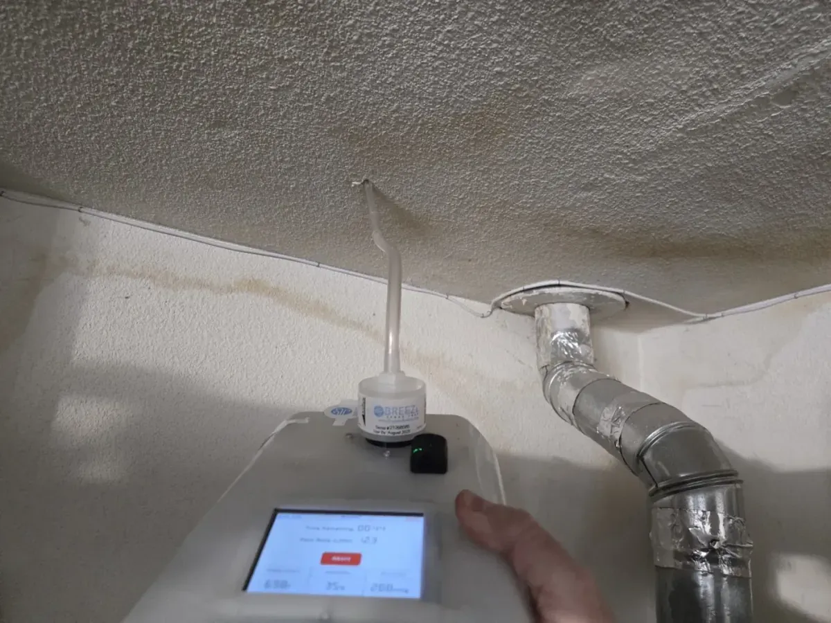 Wall cavity mold testing for hidden mold screening