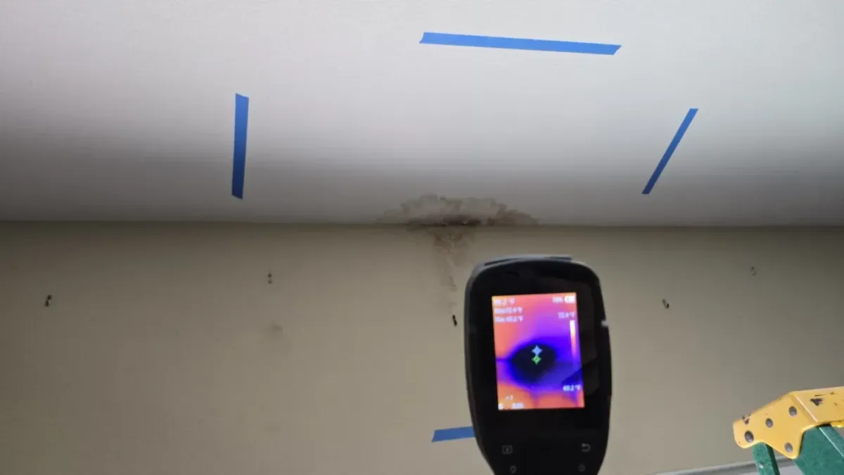 Recognizing the Early Signs of Mold in Your Home