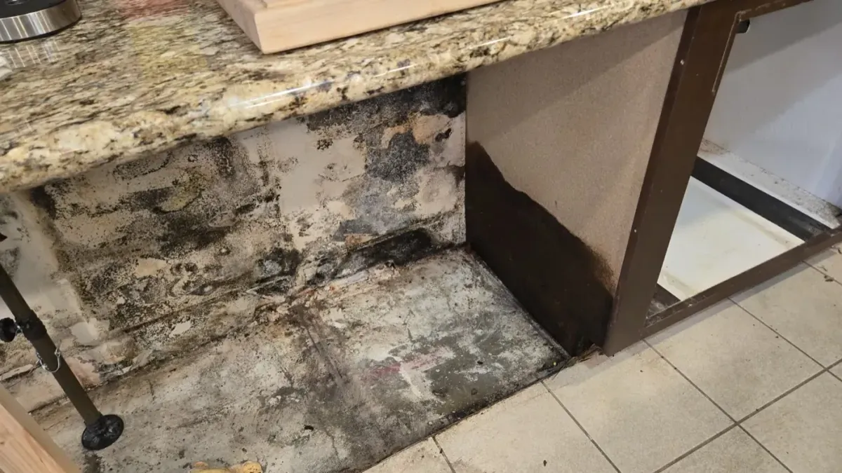 Kitchen Cabinet Remediation