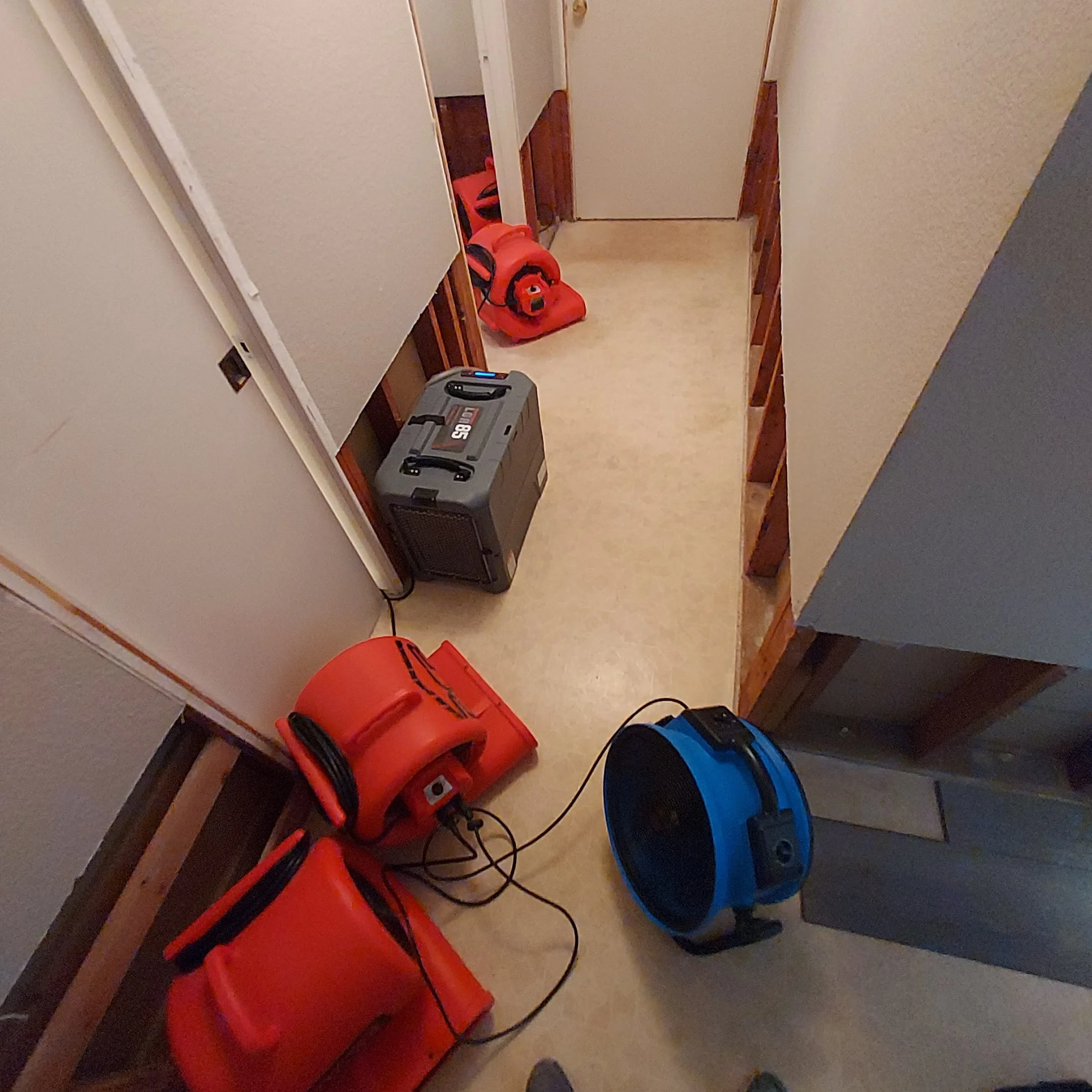 Dehumidification & Drying